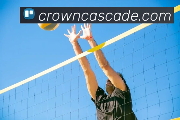 皇冠crown体育平台APP 封面图